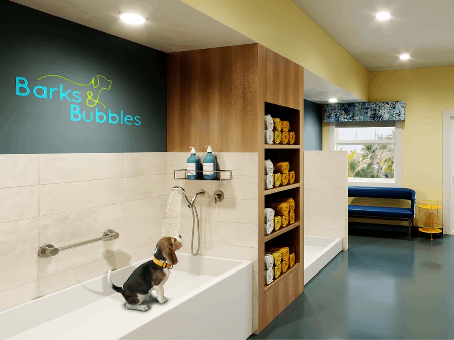 Barks and Bubbles