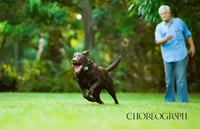 Senior man and a dog