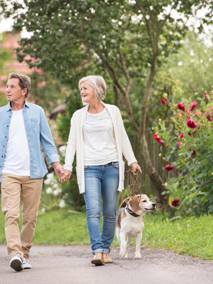 couple-walking-dog