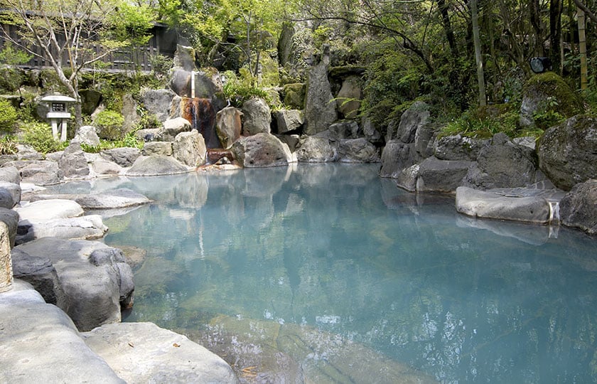 Explore These Popular Springs Near Gainesville, FL