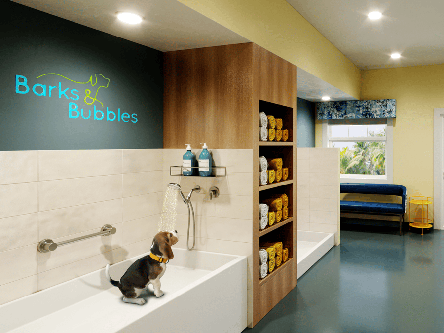 Barks and Bubbles