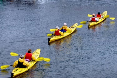 Kayaking Adventures In Gainesville, FL: Paddle Your Way To Fun