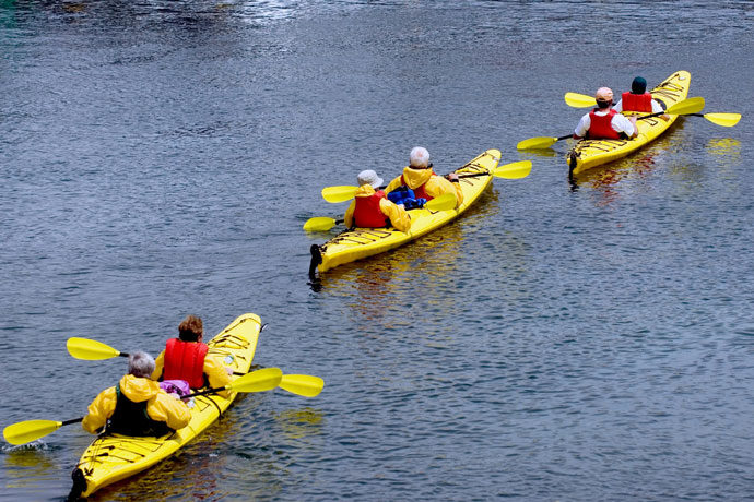 Kayaking Adventures In Gainesville, FL: Paddle Your Way To Fun