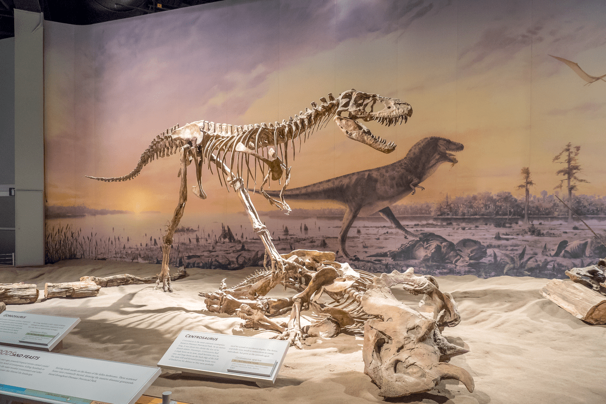 Dinosaur