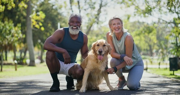 Easy Movements & Exercises for Adults to Stay Active